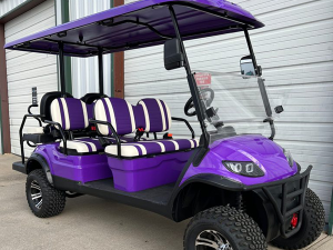 golf cart maintenance, key west golf cart service, battery service